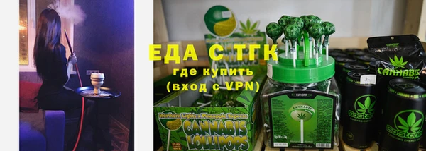 шишки Коряжма