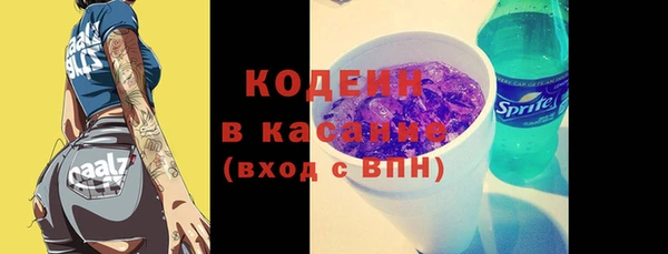 шишки Коряжма