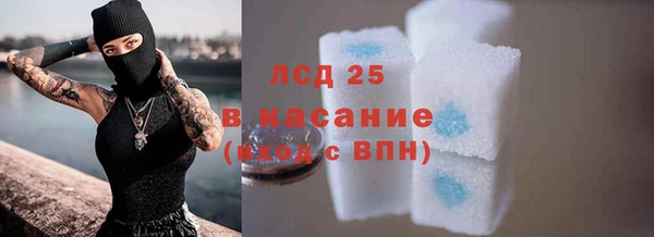 крисы Кодинск