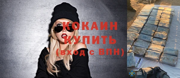 шишки Коряжма