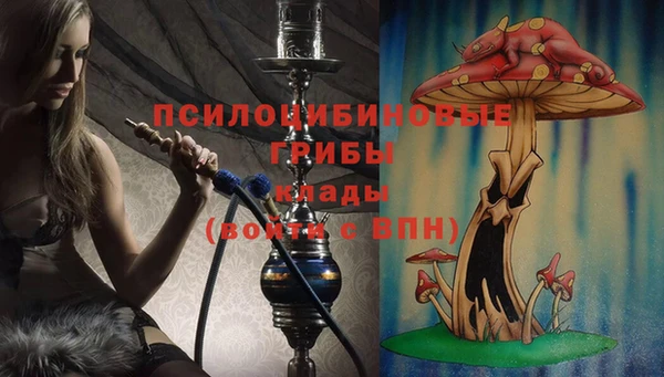 крисы Кодинск