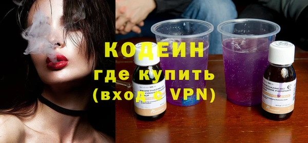 шишки Коряжма