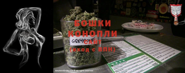 шишки Коряжма