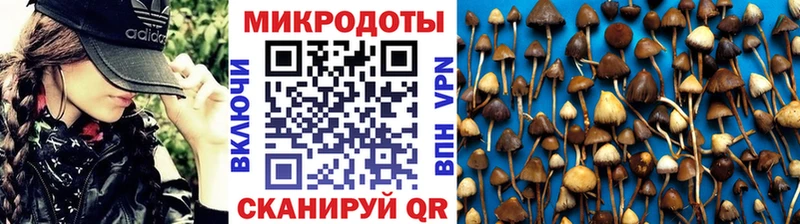 Купить  Гвардейск  Псилоцибиновые грибы прущие грибы 